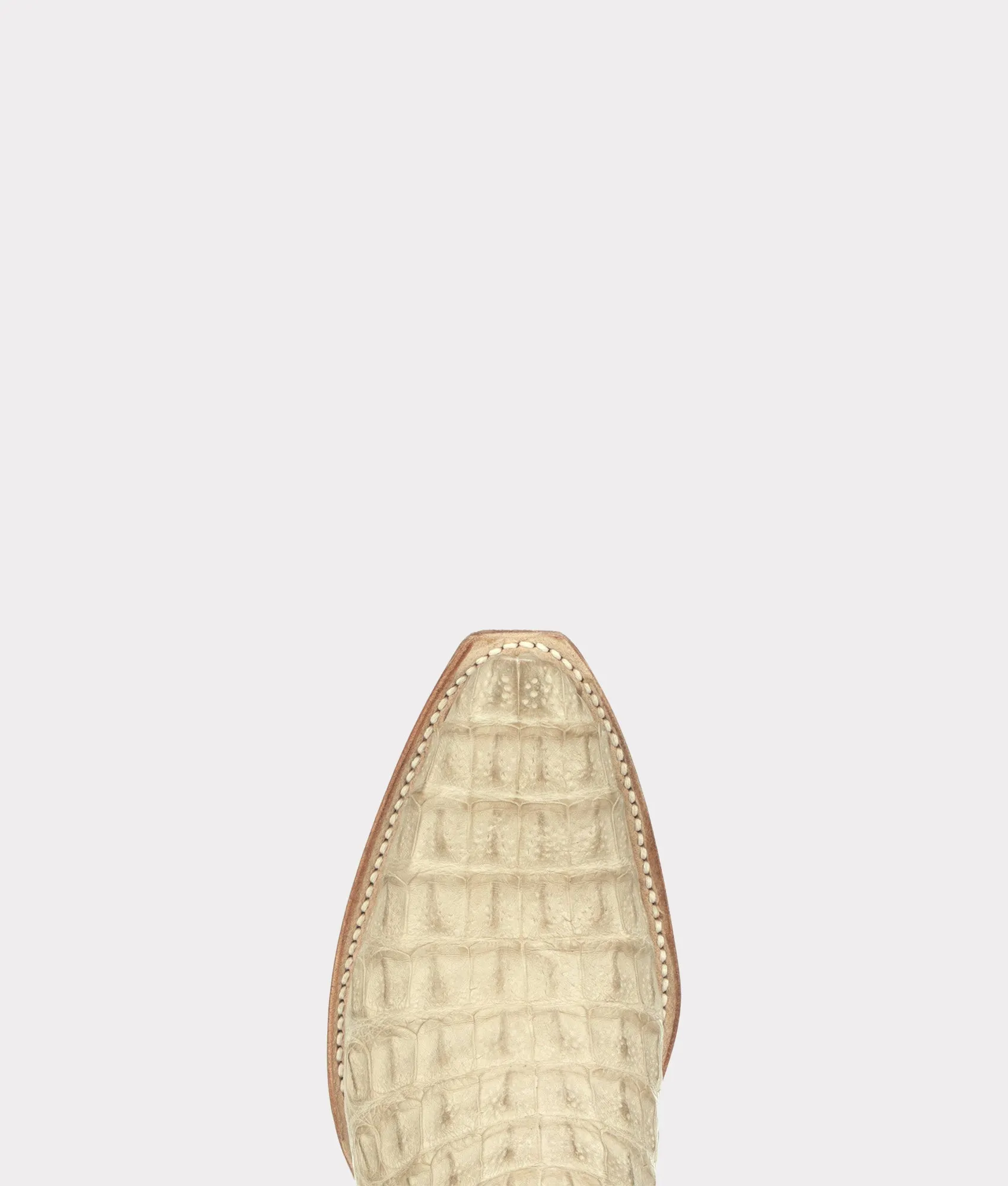 Dale Exotic :: Wheat